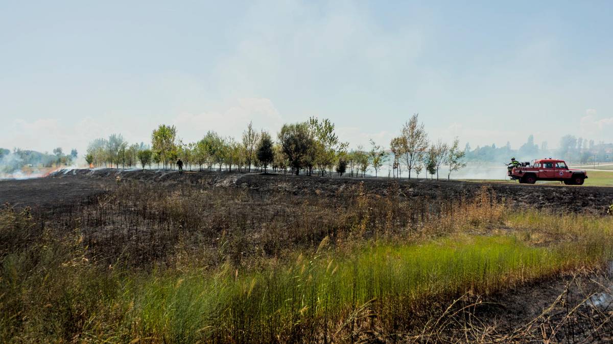 Ravenna e l’incendio al Parco Cesarea, il Comune: “La manutenzione dell’area verde ha evitato l’estendersi dell’incendio” - Gallery