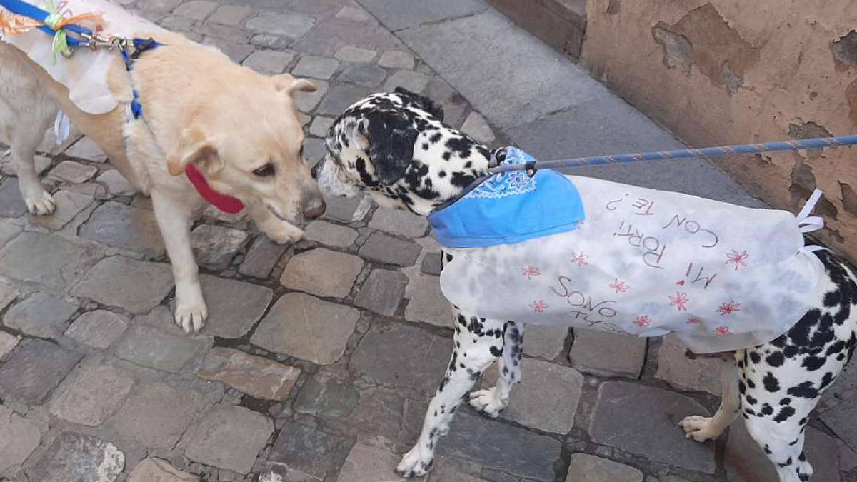 Un défilé in centro per trovare una casa