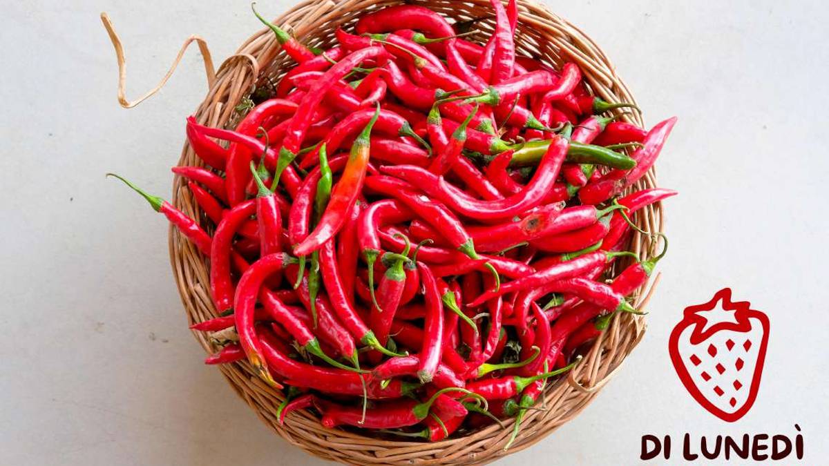 Arriva Di Lunedì il mercatino tutto da gustare a Castrocaro