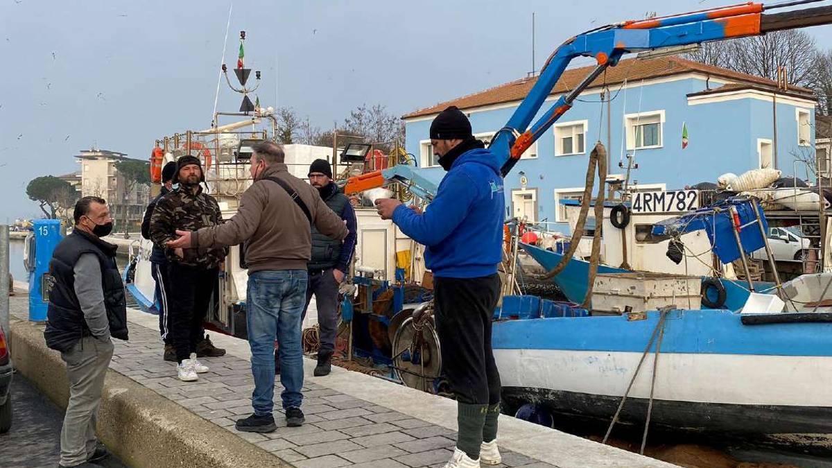 Cesenatico, sequestrate 500 casse di pesce azzurro