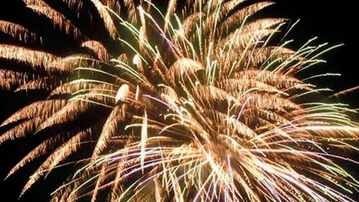 Capodanno, tenere lontano dai botti gli amici a quattro zampe