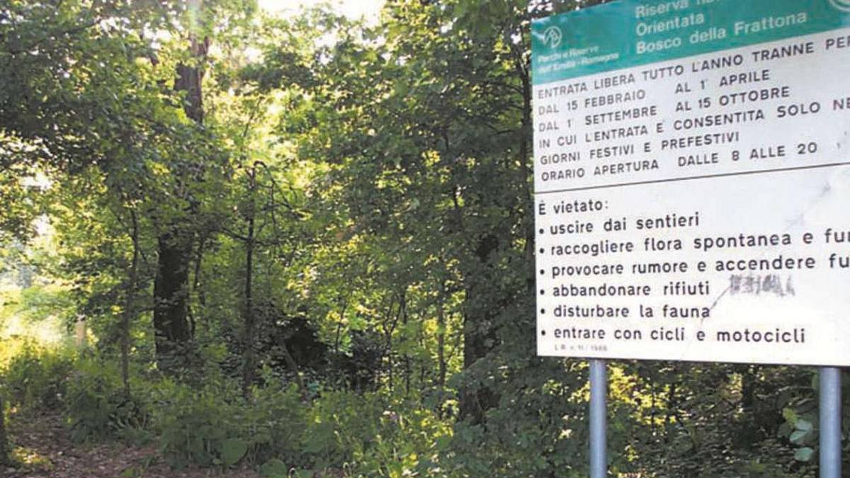 Imola, un pieno di richieste per le visite al bosco della Frattona