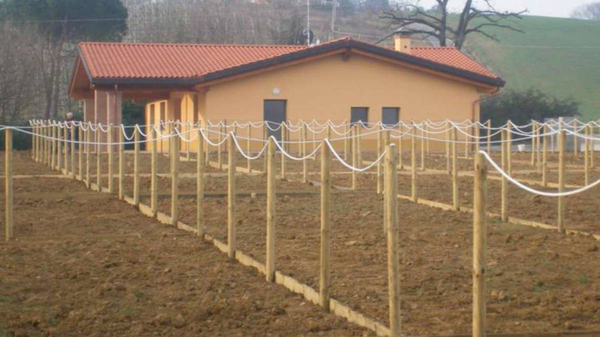 Dozza, al via l'assegnazione degli orti sociali di via Chiusure