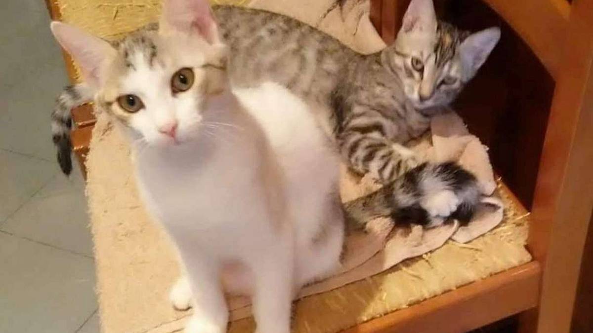 Tara è uno zuccherino, adesso cerca l’amore
