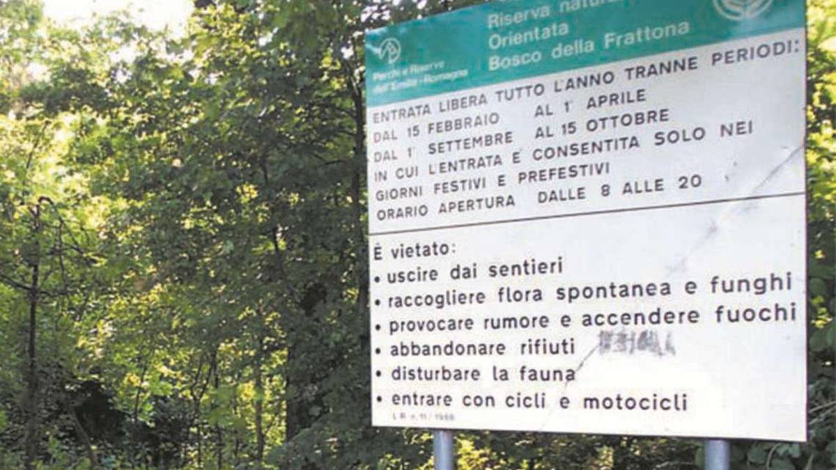 Il bosco della Frattona, l’oasi della sostenibilità imolese