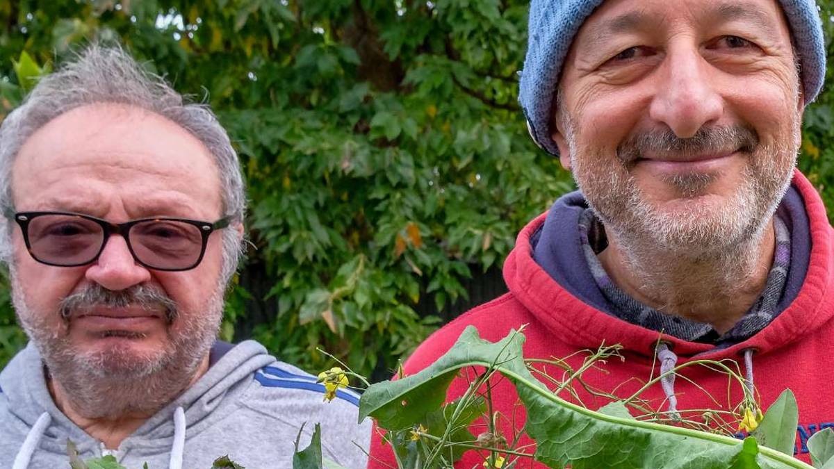 Andar per erbe, son nate prima le rosole o la piada?