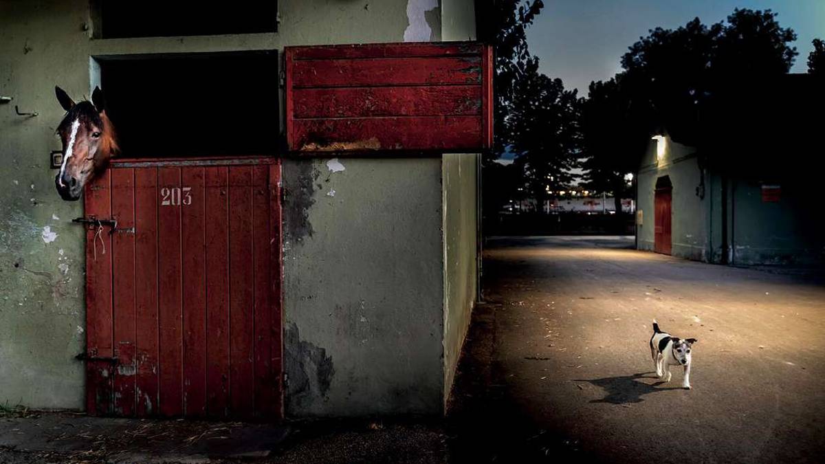 Cesena, l'ippodromo nelle foto di Andrea Bernabini