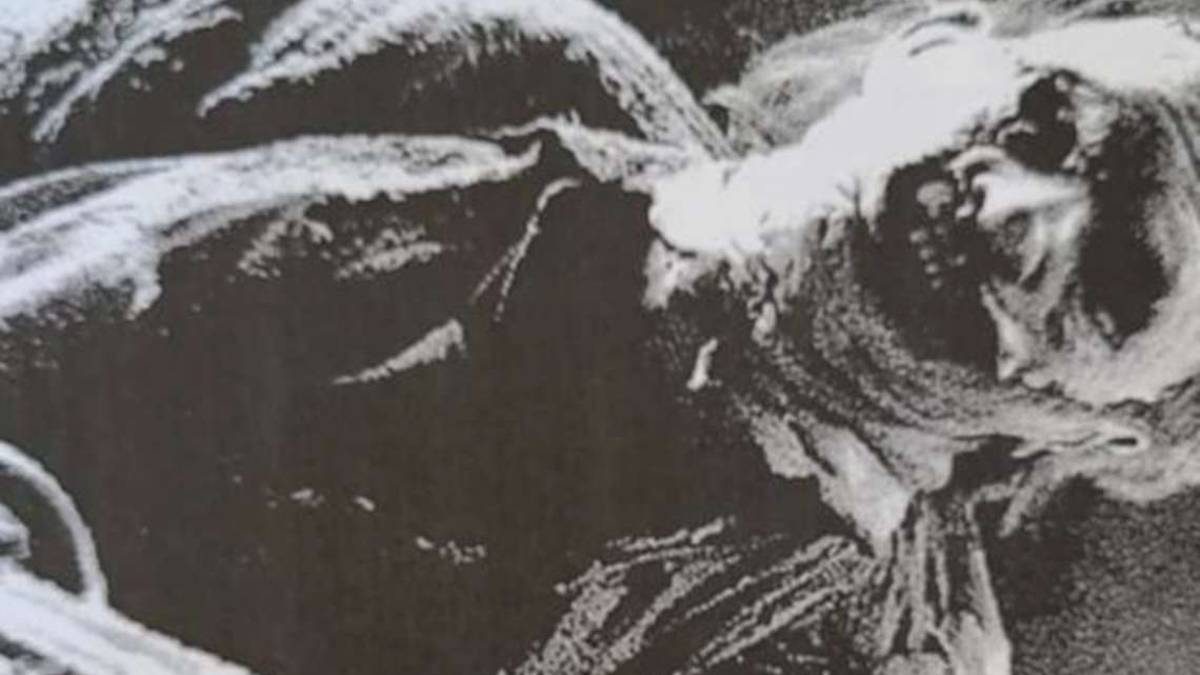 Ravenna, stalking sulla vicina a colpi di film horror
