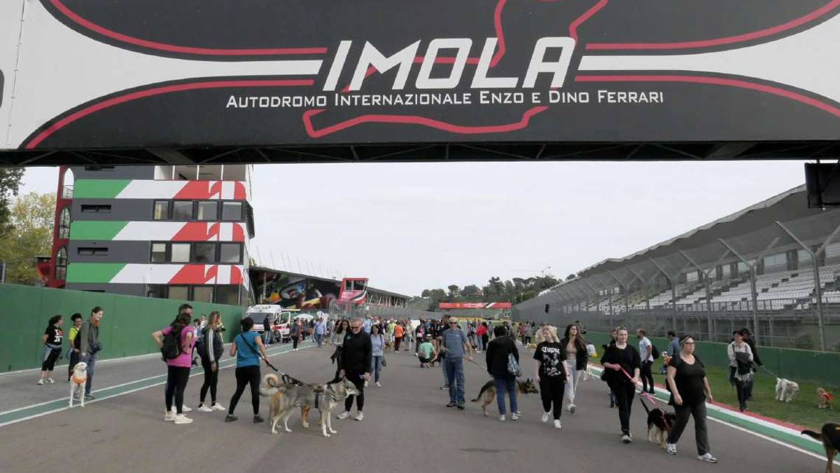 Imola, successo per la passeggiata a sostegno del canile e gattile