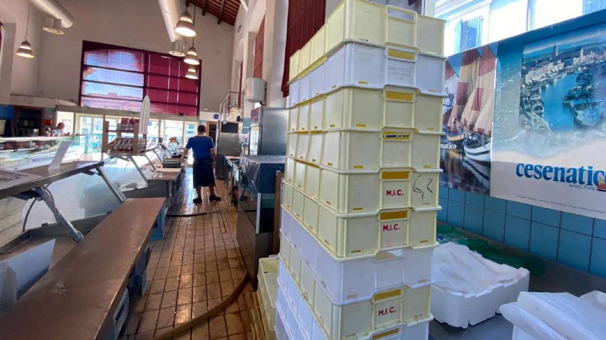 Pesce: a Cesenatico nuova dignità per le cassette di plastica