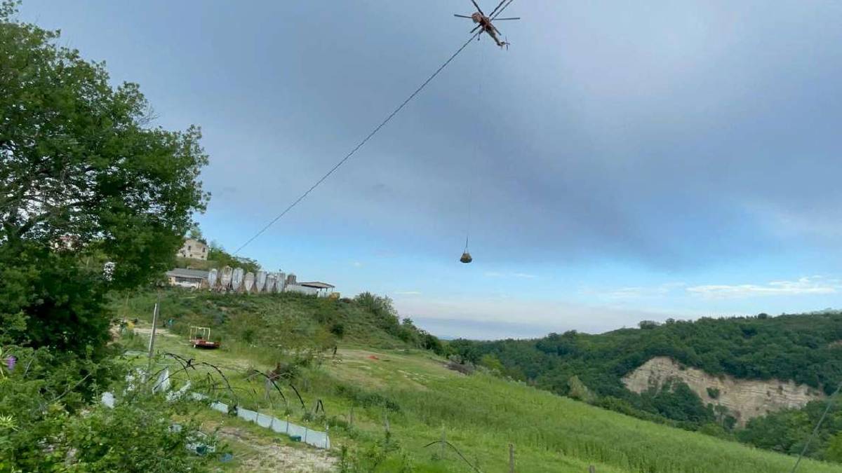 Cesena, a Ciola elicotteri lanciano foraggio sulle aziende per salvare 900 animali