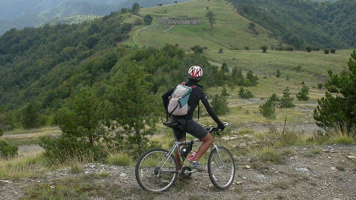 Tutelare insetti e anfibi: l’esempio viene dalle Foreste casentines