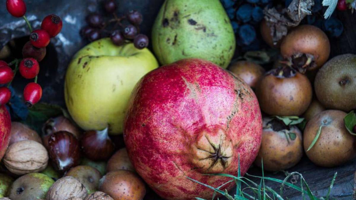Nespole & co, i frutti dimenticati a Casola Valsenio
