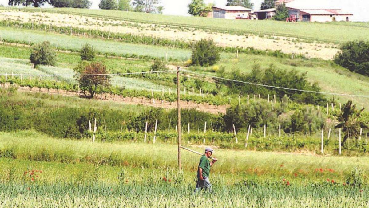 Imola, 200mila euro per le nuove imprese extra-agricole rurali