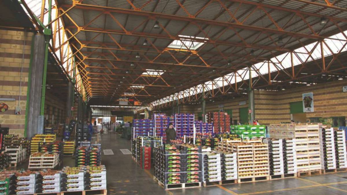 Mercato ortofrutticolo di Cesena: è ancora scontro
