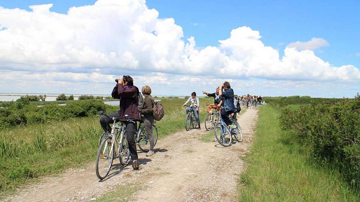 Spiaggia e natura in modalità green: i consigli utili in vacanza