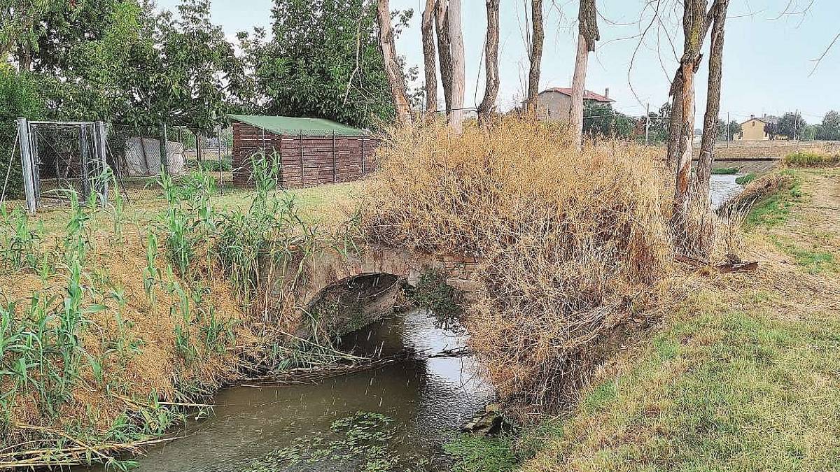 Cesena, ponticello ottocentesco da distruggere: Salviamolo