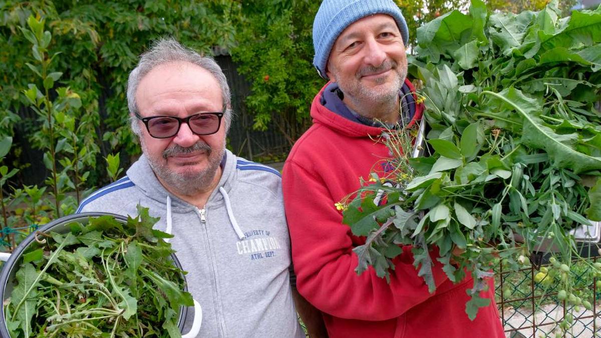 Andar per erbe riscoprendo le radici della cucina romagnola