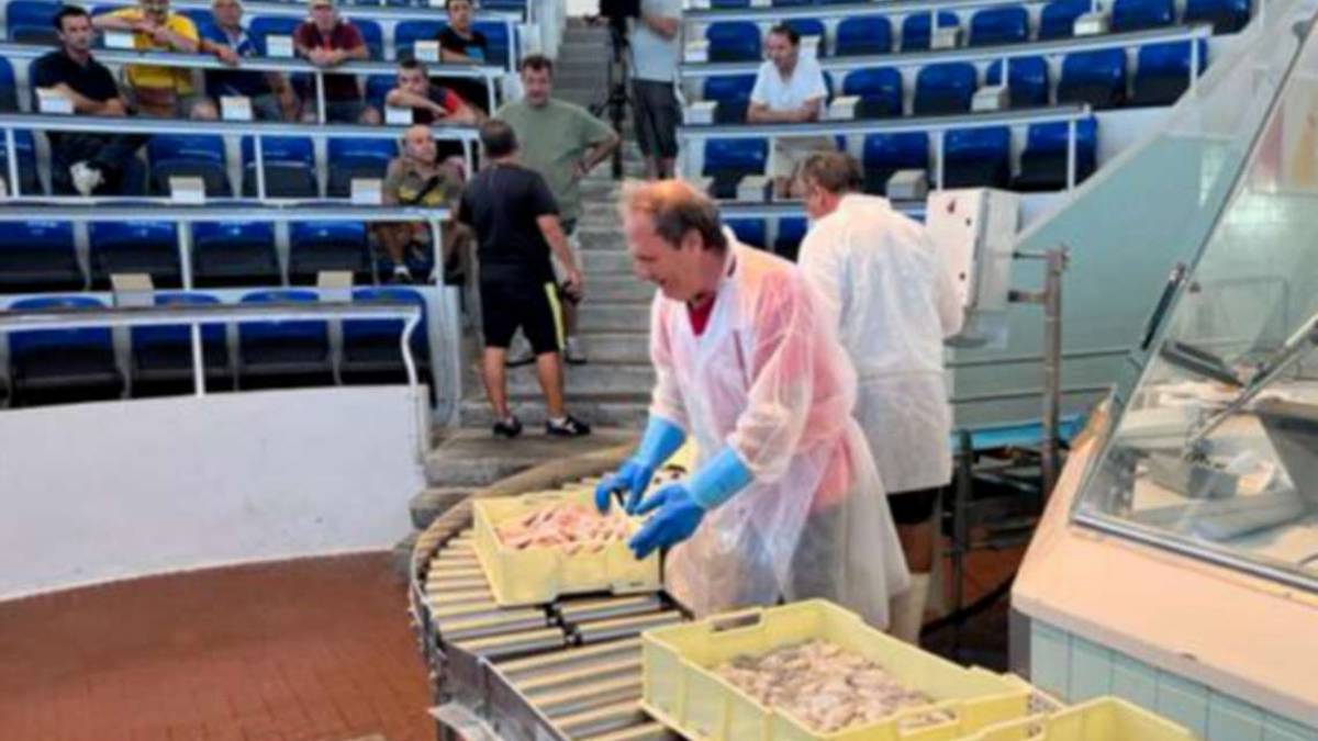 Cesenatico, buono il primo giorno di pesca