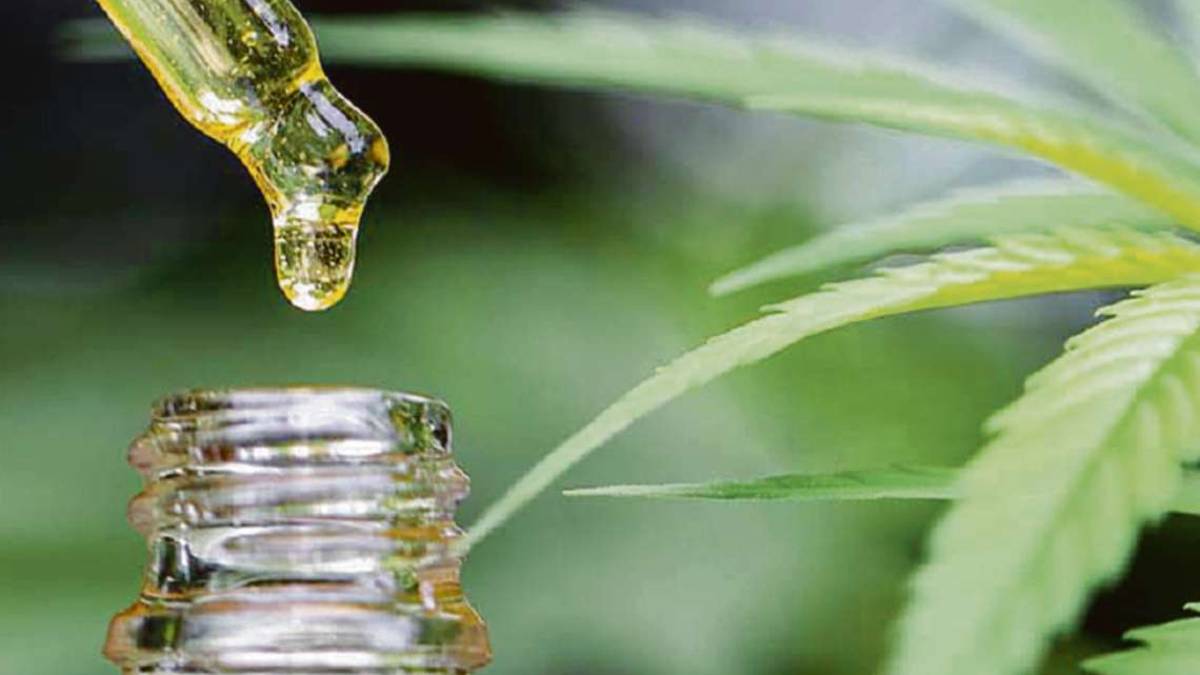 Muore la madre, esposto dei familiari: Negata cannabis per cure