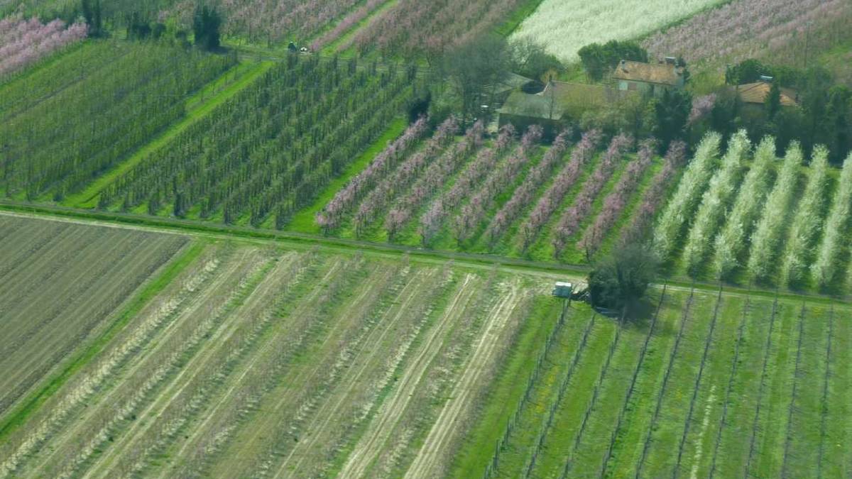 Ridurre l’impronta dei fertilizzanti