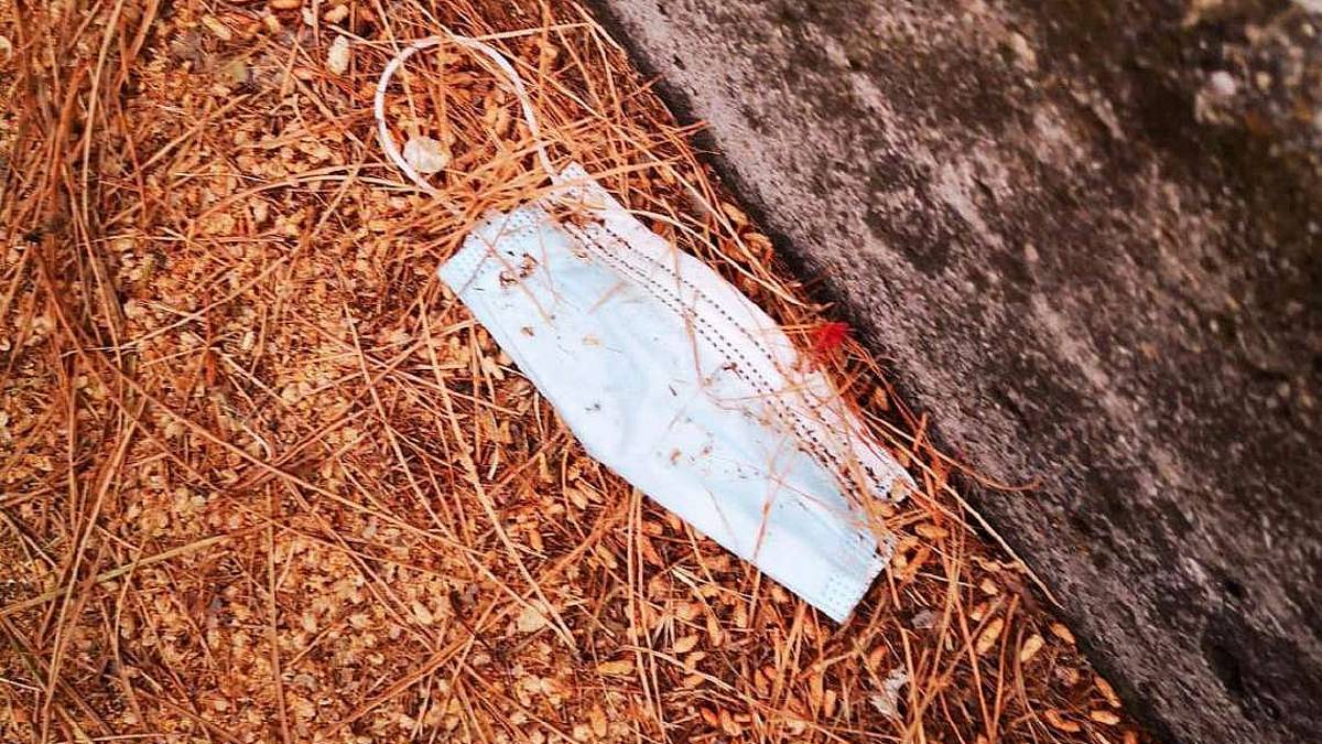 Troppe mascherine gettate via: anche gli animali ne soffrono