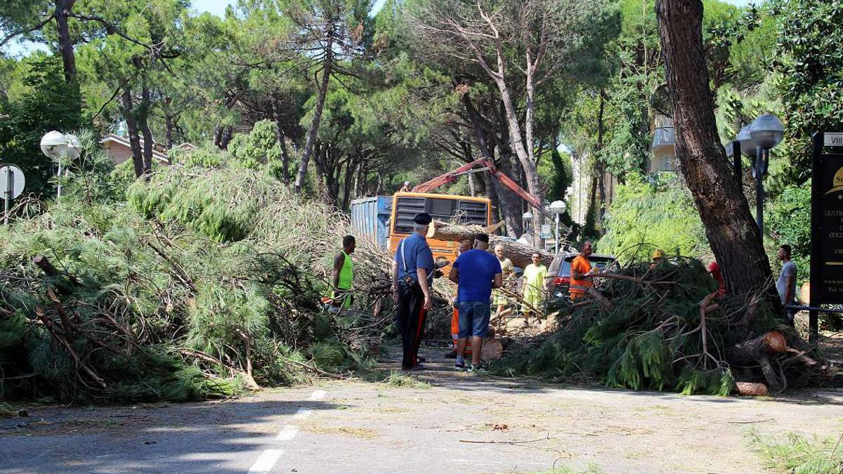 Cervia trasforma i danni della tromba marina in saldo attivo