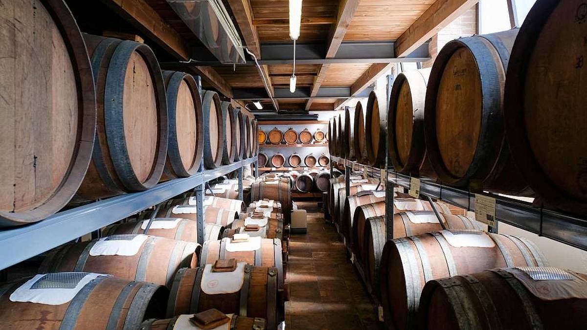 Acetaie aperte, tutte le sfumature del balsamico