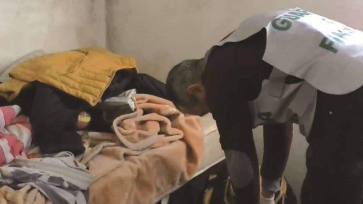 Cesena, la piaga del caporalato: Al lavoro per 23 ore consecutive