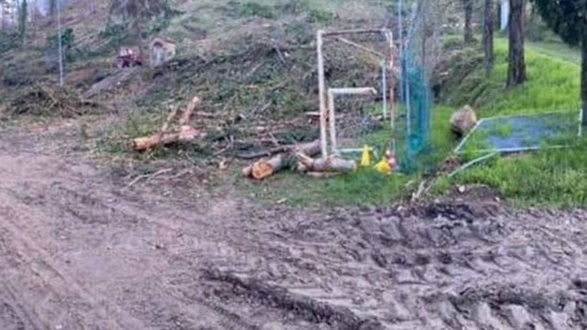 Alfero, decine di alberi abbattuti e campo sportivo devastato