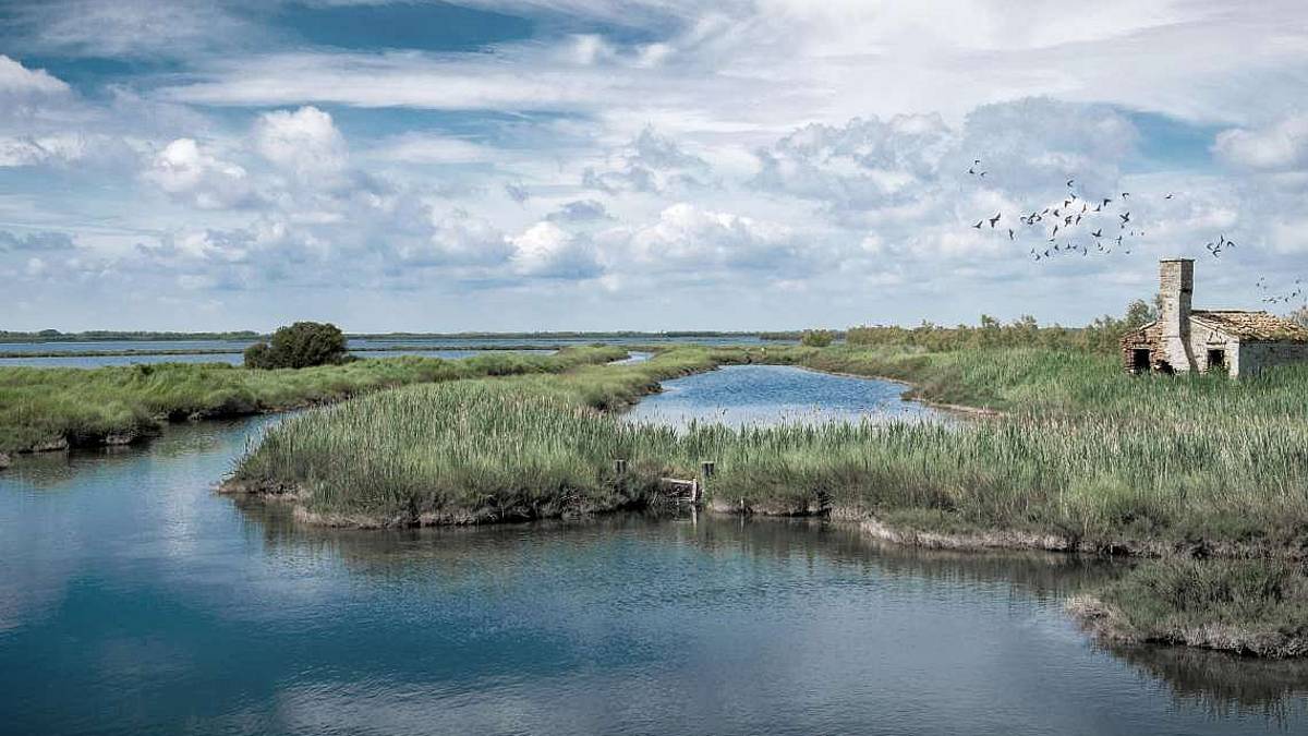 Il fascino del delta del Po veneto