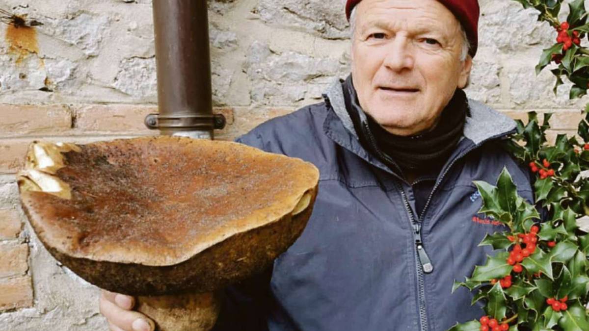 Fungo porcino gigante da 1,5 chili sul Fumaiolo