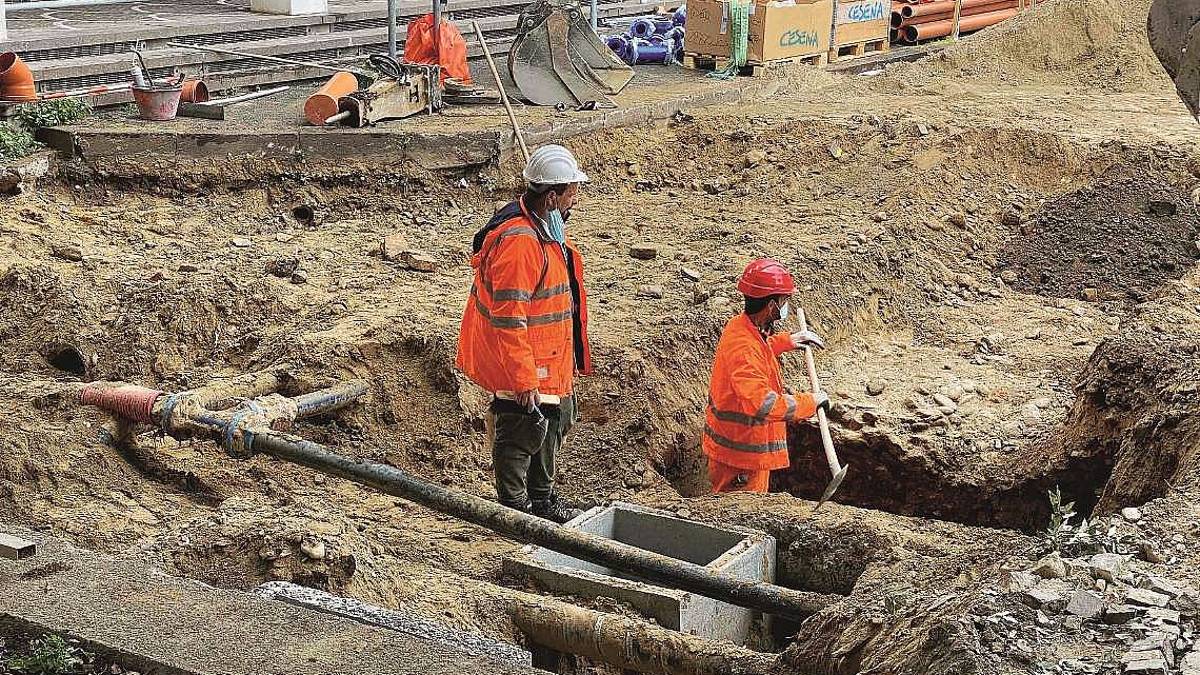Cesena, archeologia e pinacoteca: visite guidate il 26 settembre