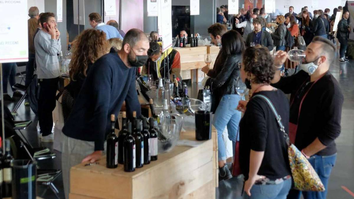 Baccanale Imola: vini e prodotti del territorio all'autodromo