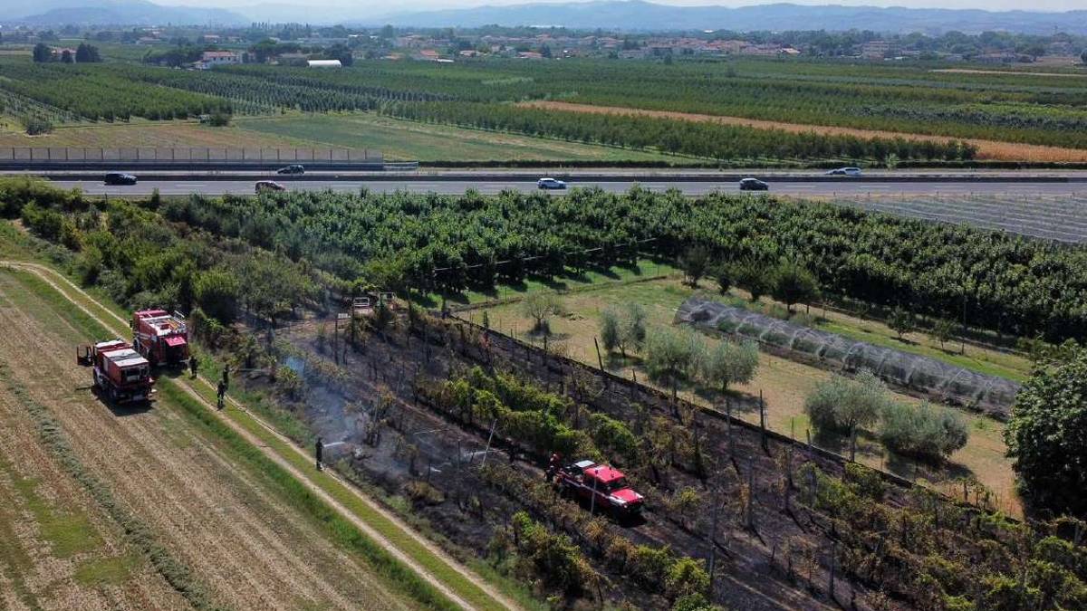 Cesena, incendio di sterpaglie vicino all'A14