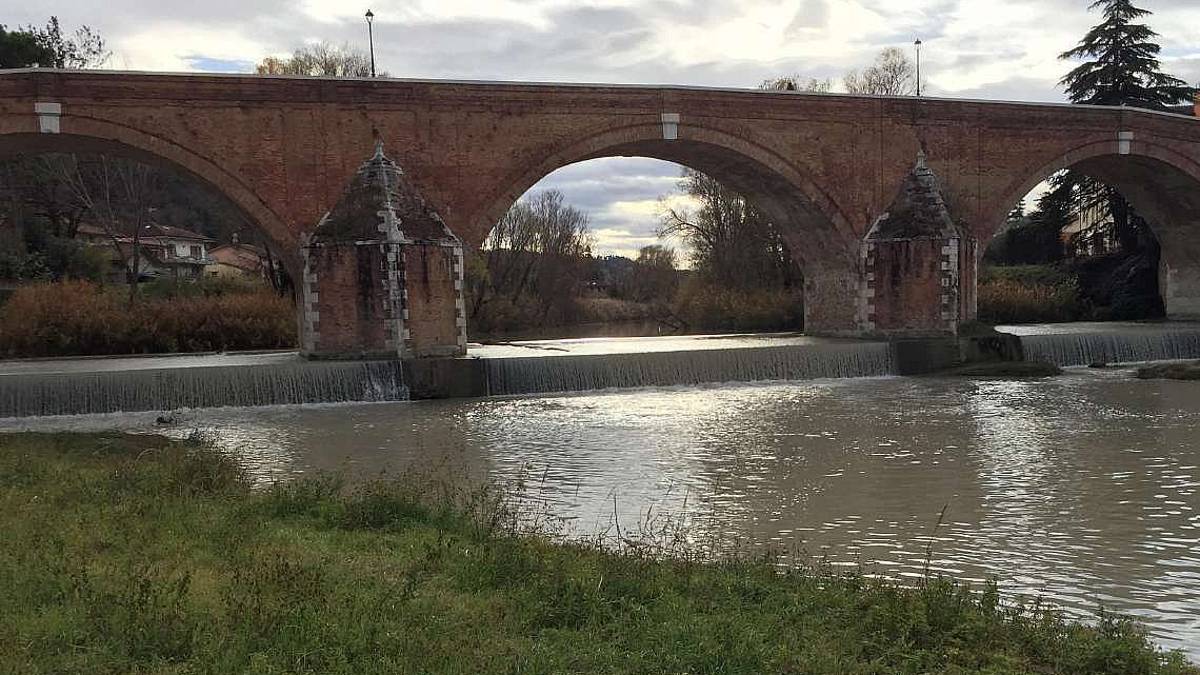 Minaccia col coltello i proprietari di cani lungo il Savio a Cesena
