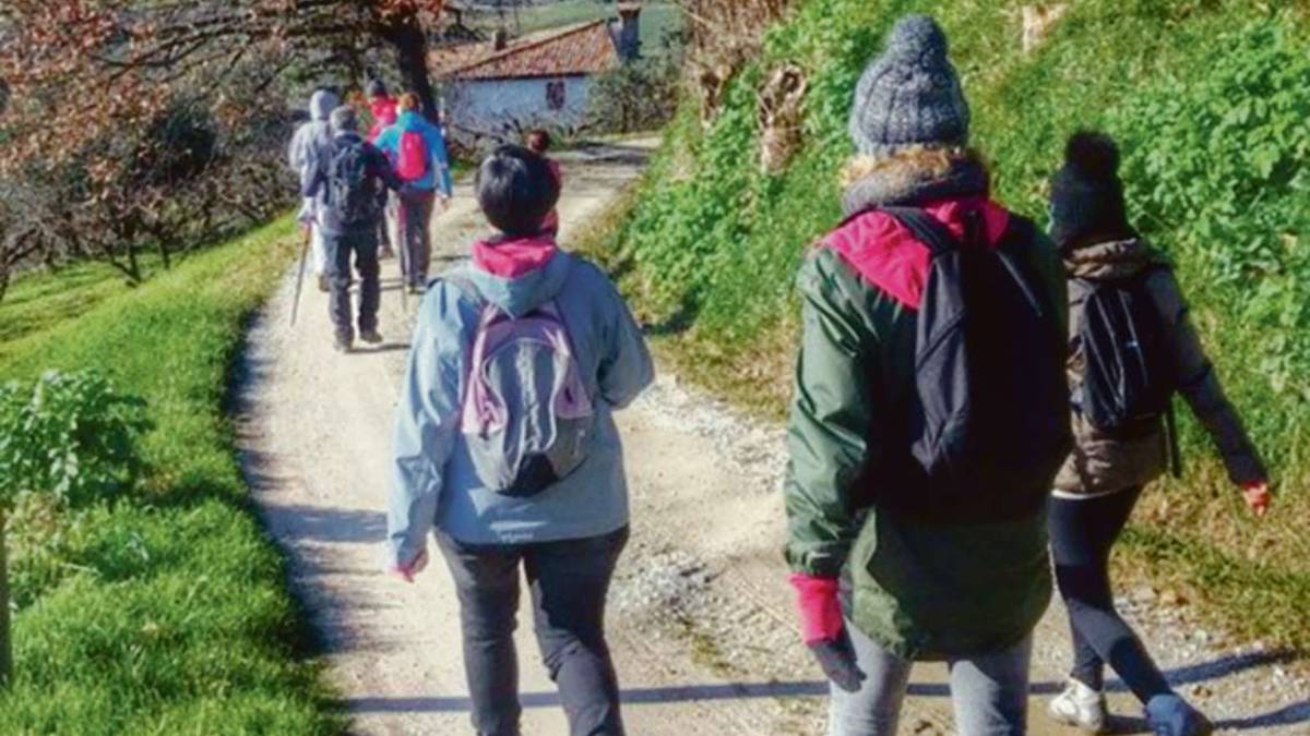 Montiano, sentieri poetici tartassati da moto e bici da cross