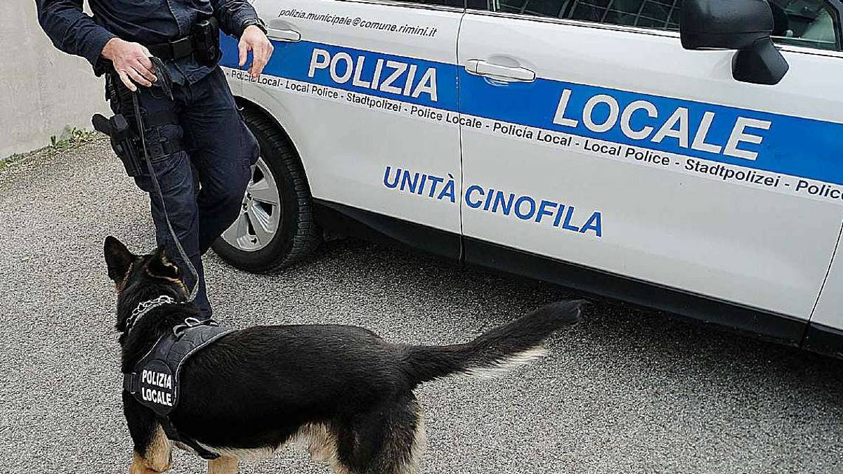Rimini. Sgomberato ex hotel di Marina occupato abusivamente. Multe alle roulotte in sosta al Rds Stadium