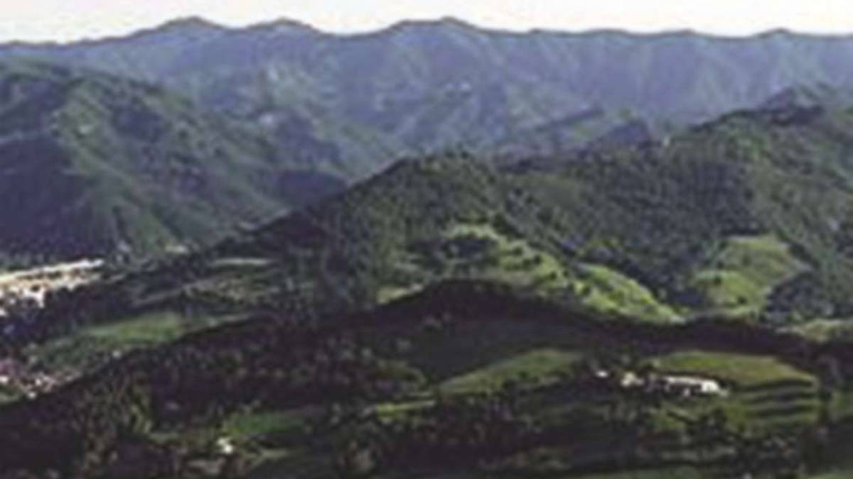 Sviluppo dell’eccellenza green, nuove aziende crescono