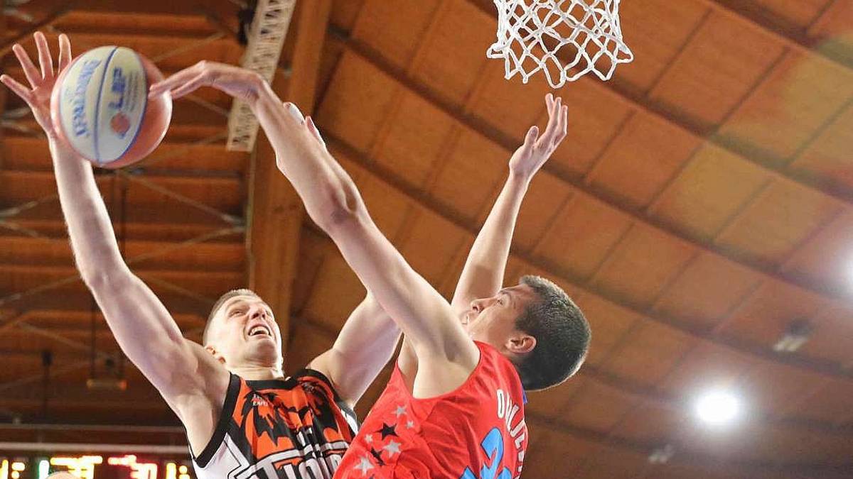 Basket B, Tigers due buone notizie alla vigilia di Livorno
