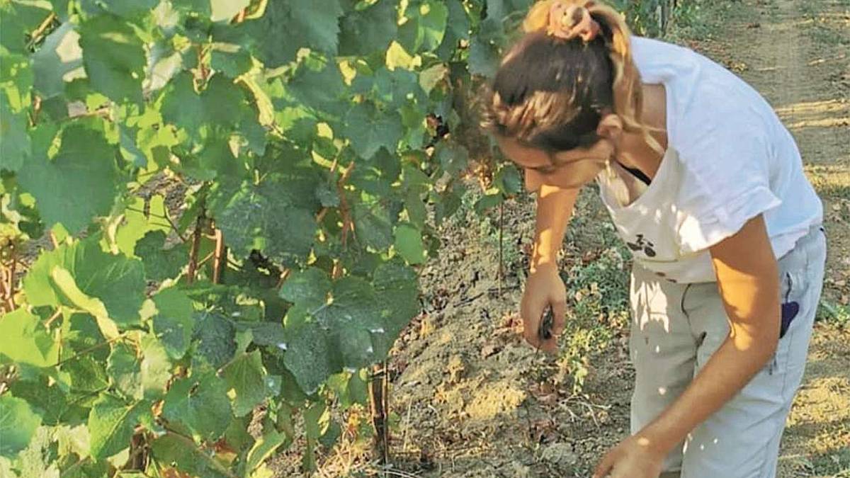 Rebola, i segreti del successo