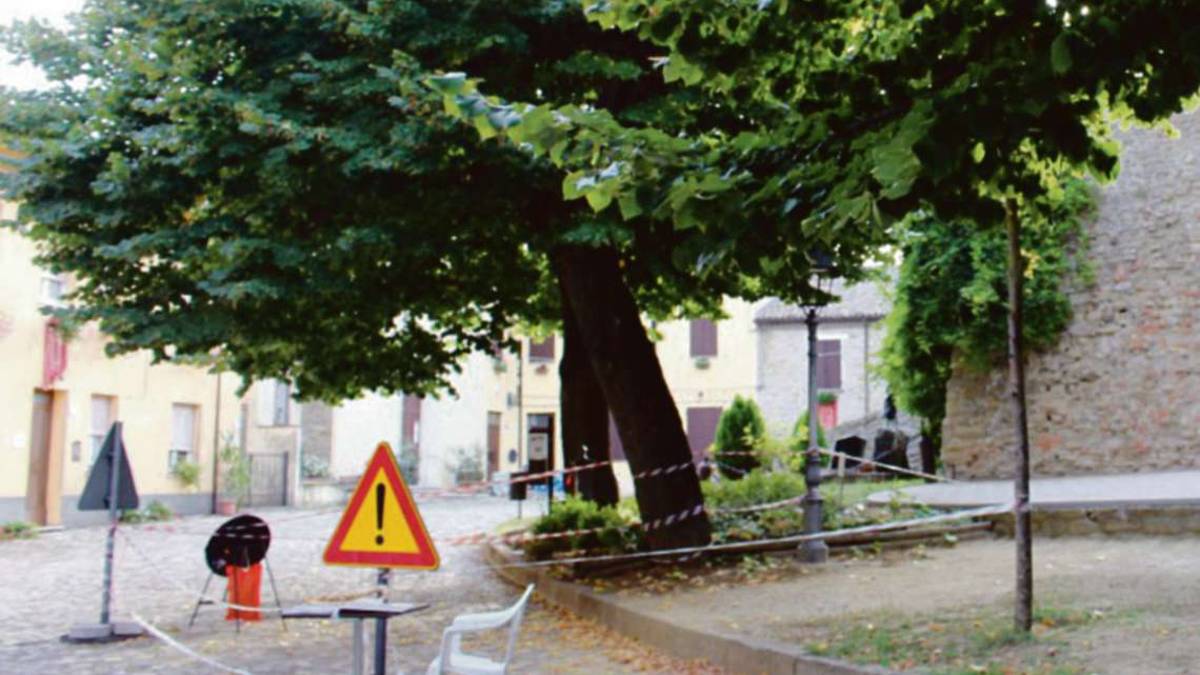 Monteleone: la disfida del tiglio pendente porta venti di secessione