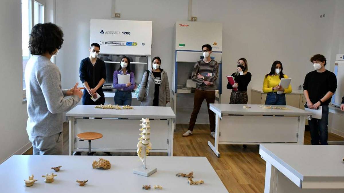Forlì, il corso di laurea di Medicina tra successi e novità