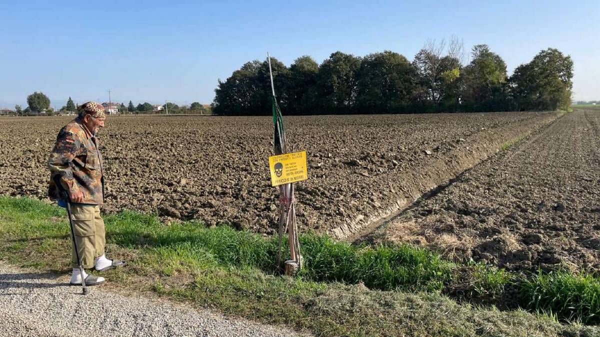 Cesena: grano a tonnellate rubato davanti al proprietario
