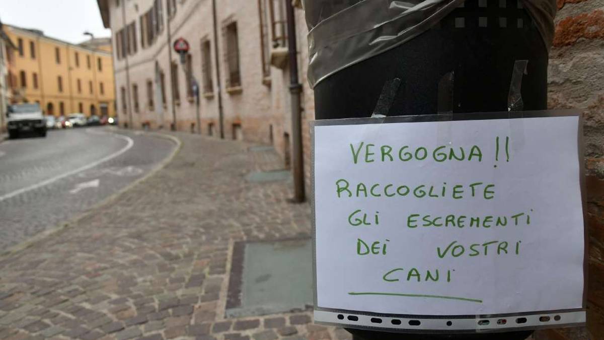 Ravenna, giardino pieno di escrementi: vicini di casa a processo