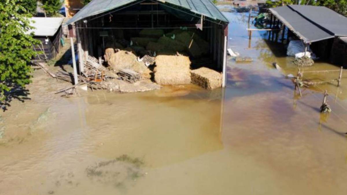 Il sindaco di Cervia: Ecco perché la salina ci ha salvato