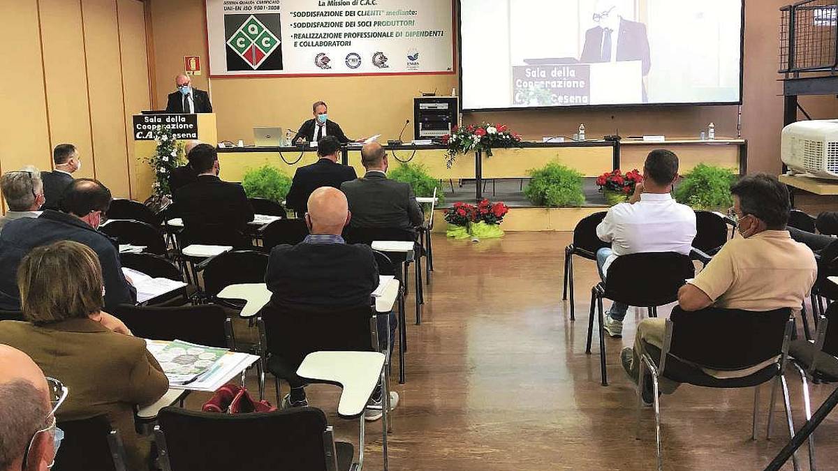 Cesena, bilancio 2020 coi fiocchi per Cac: utile cresciuto del 25%