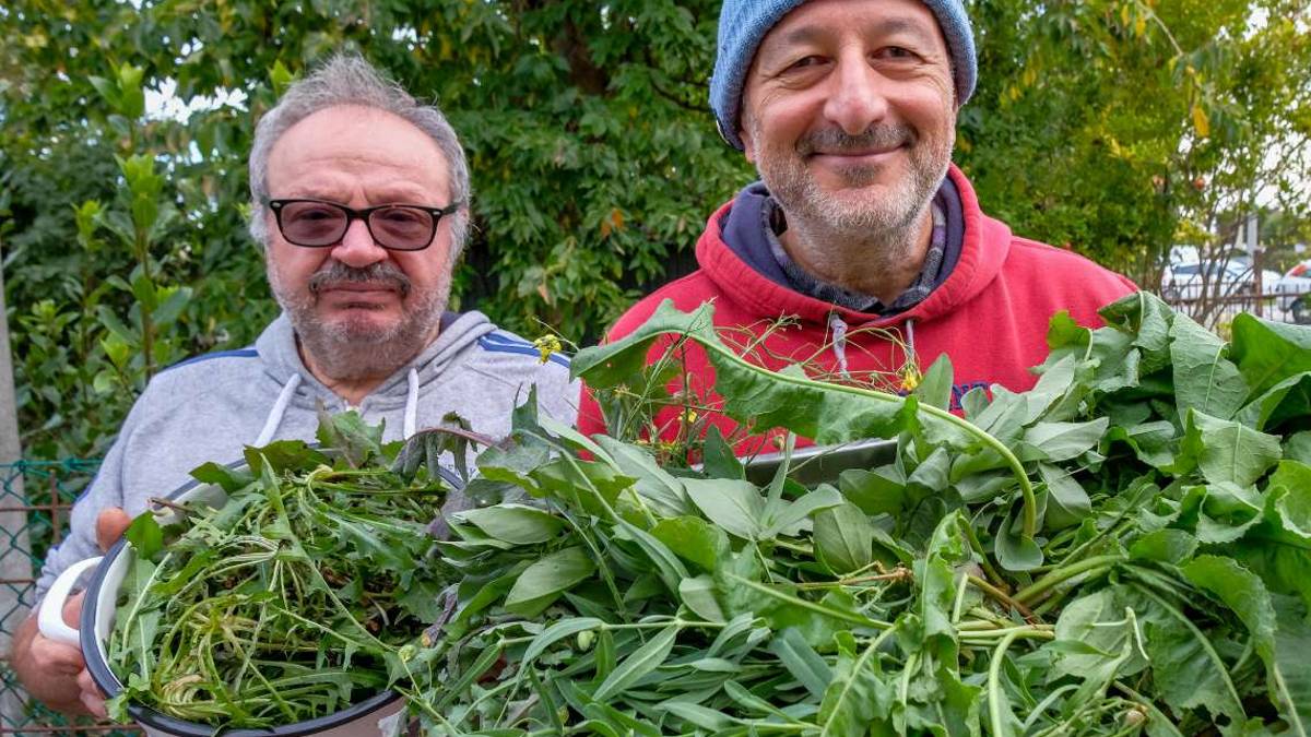 Andar per erbe, le frittate dell'inverno