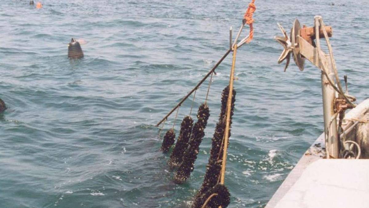 Scommettere sull’economia blu: ecco i fondi europei per il rilancio