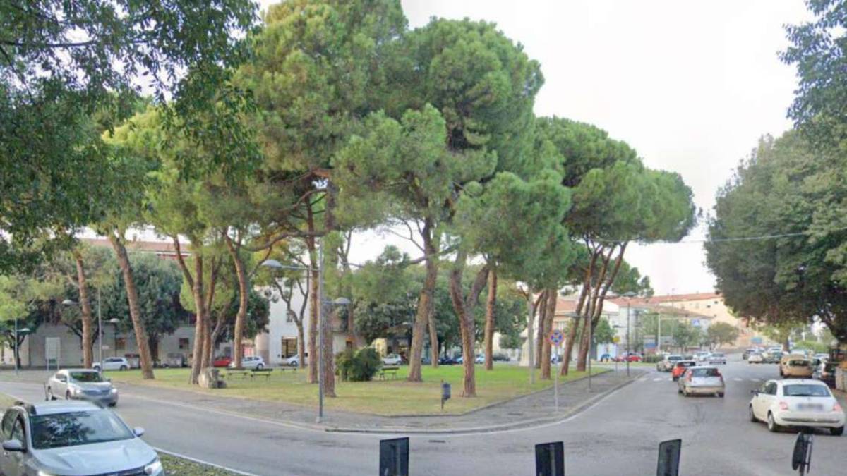 Faenza, potature di contenimento alle piante nei viali